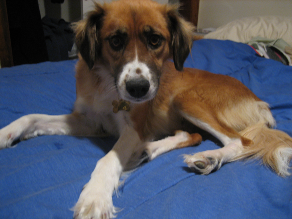 Annaleigh takes over the guest bedroom in her new home