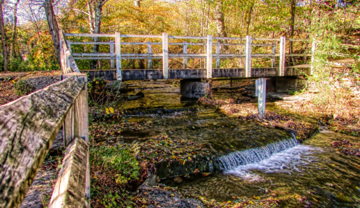 Fall at Thacher State Park