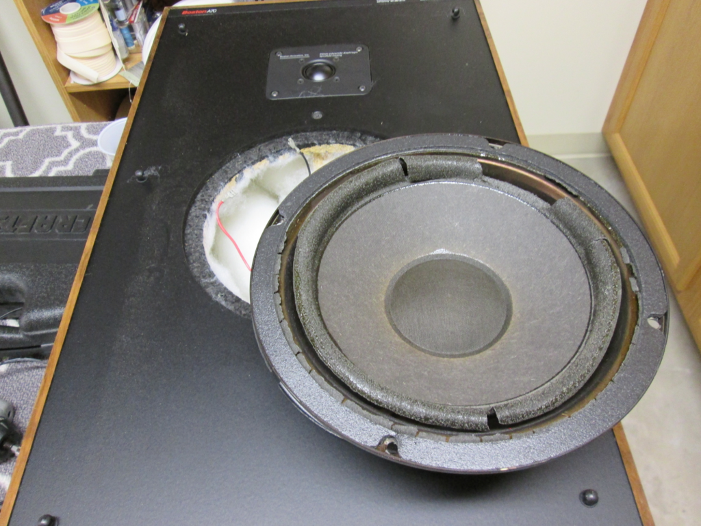 The woofer carefully lifted out of the speaker case